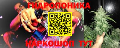 спиды Тара
