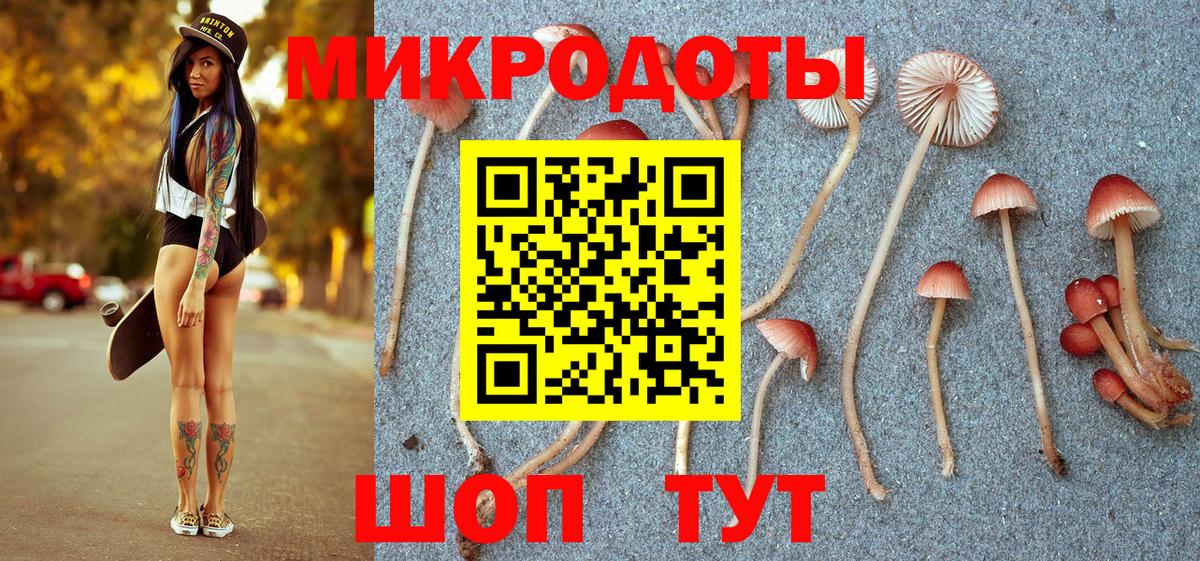 Псилоцибиновые грибы мухоморы  Галлюциногенные грибы Psilocybe  Вход с VPN  Новошахтинск 
