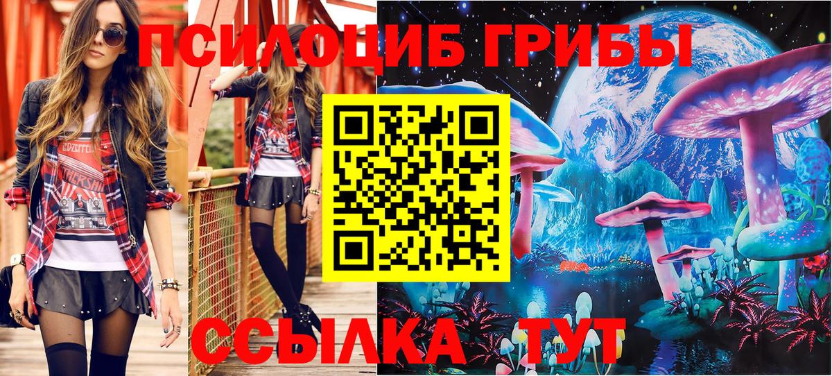Псилоцибиновые грибы мицелий Новошахтинск